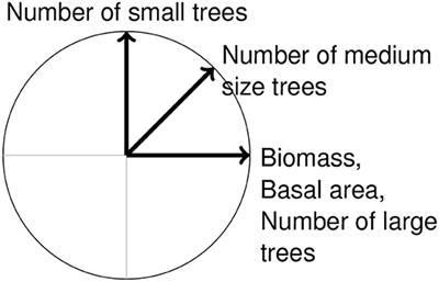 Using Model Analysis to Unveil Hidden Patterns in Tropical Forest Structures